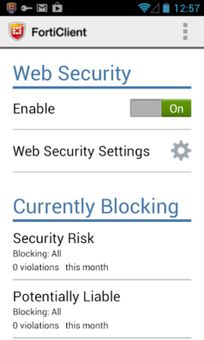 FortiClient screenshot 1