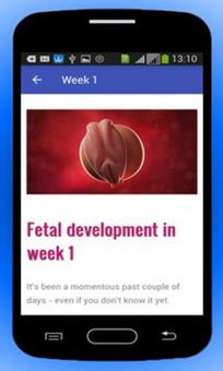 Pregnancy Baby Weekly Tracker screenshot 5