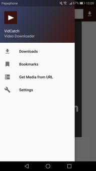 VidCatch screenshot 2