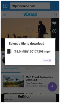 VIP Video downloader screenshot 4