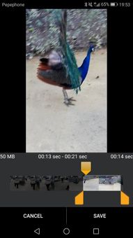 Video Player And Cutter screenshot 2