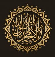 The Noble Qur’an with the voice of Abu Bakr Al-Shatry APK