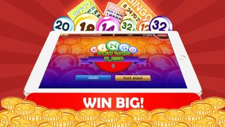 Bingo No Deposit Screenshot