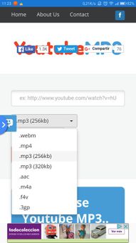 Youtube To Mp3 screenshot 4