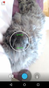 Camera HD screenshot 10