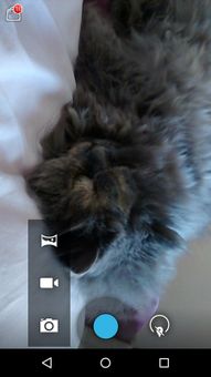 Camera HD screenshot 7