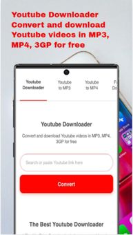 Lemons Videos Download screenshot 1
