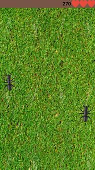 Ant Catch screenshot 4