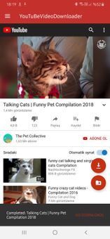 YouTube Video Downloader screenshot 3