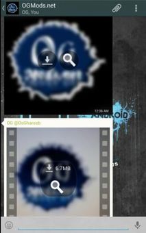 OGWhatsApp screenshot 3