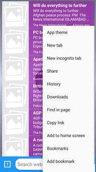 Apple Browser screenshot 2