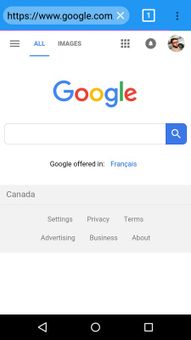 Blue Browser screenshot 5