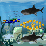 Shark Attack APK