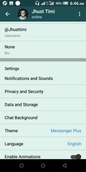 Messenger Plus screenshot 3