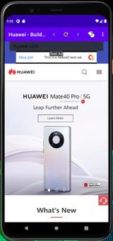 Fast Browser screenshot 2