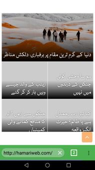 Pak Browser screenshot 7