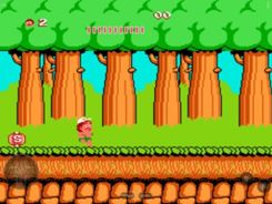 Hudson’s Adventure Island Screenshot