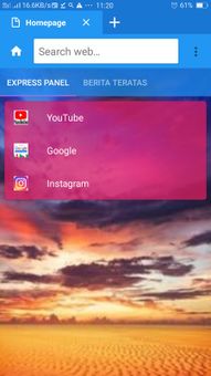 Indian browser screenshot 1