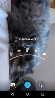 Camera HD screenshot 4