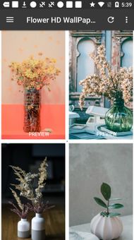 Flower HD WallPapers screenshot 6