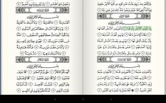 Quran Kareem screenshot 1