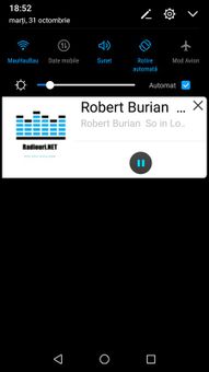 Radiouri.NET screenshot 4