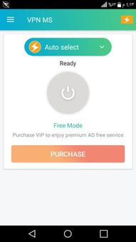 VPN mlfs screenshot 2