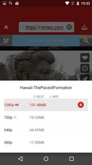 Video Downloader screenshot 2