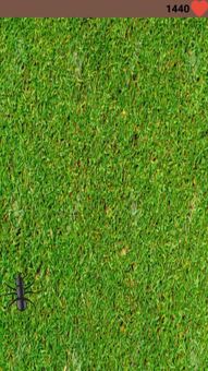 Ant Catch screenshot 5
