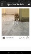 →