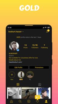 AeroInsta screenshot 2
