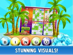 Bingo Card Games Screenshot