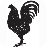 ProyYard APK