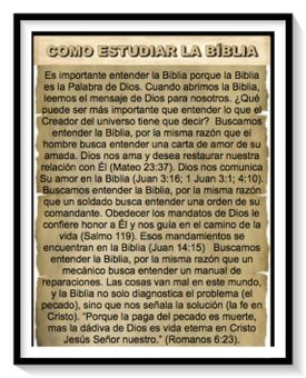 Study the Bible screenshot 3