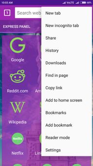 usa web browser screenshot 3