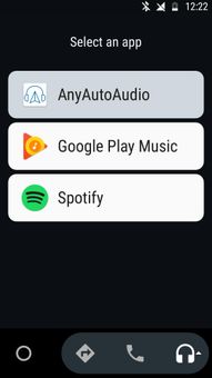 OUTDATED - AnyAutoAudio screenshot 2
