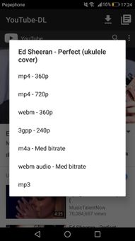 YouTube-DL screenshot 4
