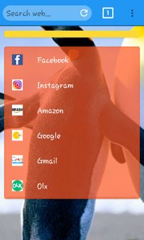 web browser screenshot 5
