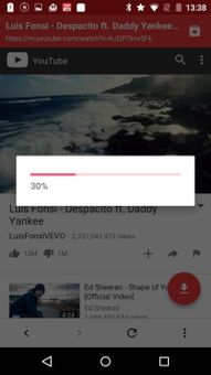 TubeSaver screenshot 6