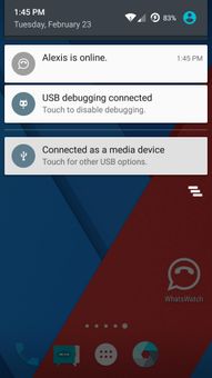 WhatsWatch screenshot 3