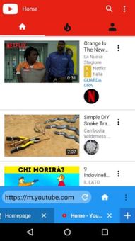 Fire Browser screenshot 5