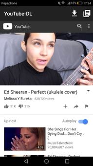 YouTube-DL screenshot 2
