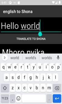 english to Shona translator screenshot 2