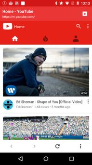 TubeSaver screenshot 1