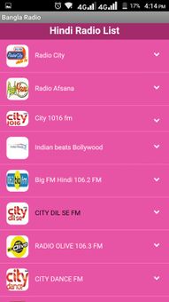 Bangla Radio screenshot 1