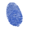 Fingerprint lock screen icon