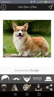Funny Photo Styler screenshot 6