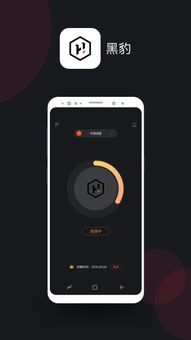 黑豹加速器 screenshot 1