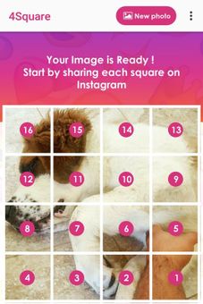 Insta Grid for Instagram screenshot 3
