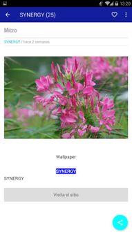 SYNERGY screenshot 5